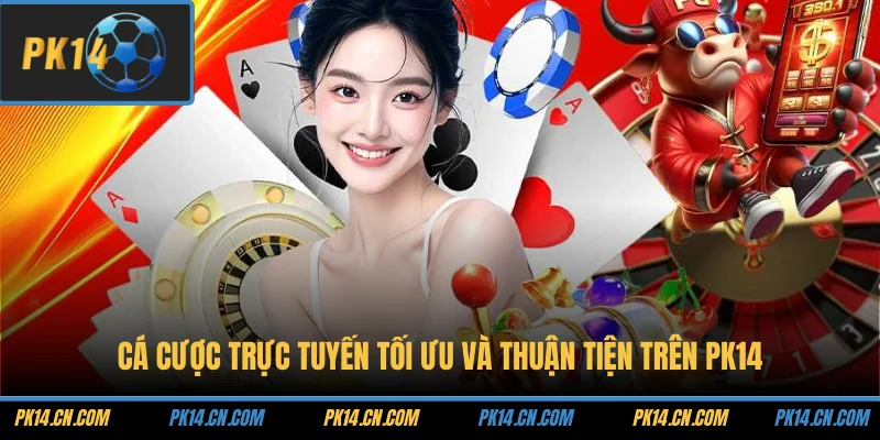 Cá cược trực tuyến tối ưu và thuận tiện trên PK14