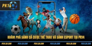Khám Phá Sảnh Cá Cược Thể Thao Và Sảnh Esport Tại PK14