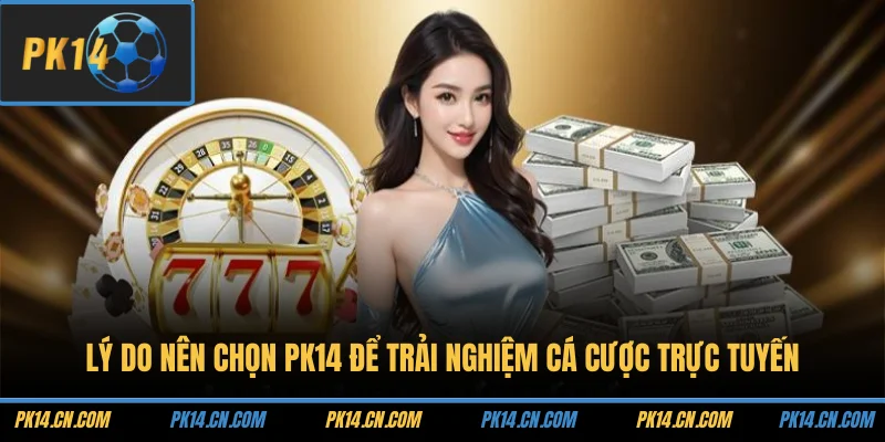 Lý do nên chọn PK14 để trải nghiệm cá cược trực tuyến