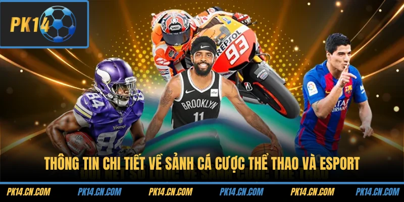Khám Phá Sảnh Cá Cược Thể Thao Và Sảnh Esport Tại PK14 1 Thông tin chi tiết về sảnh cá cược thể thao và Esport