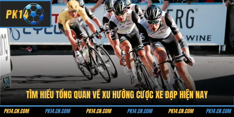 Tìm hiểu tổng quan về xu hướng cược xe đạp hiện nay